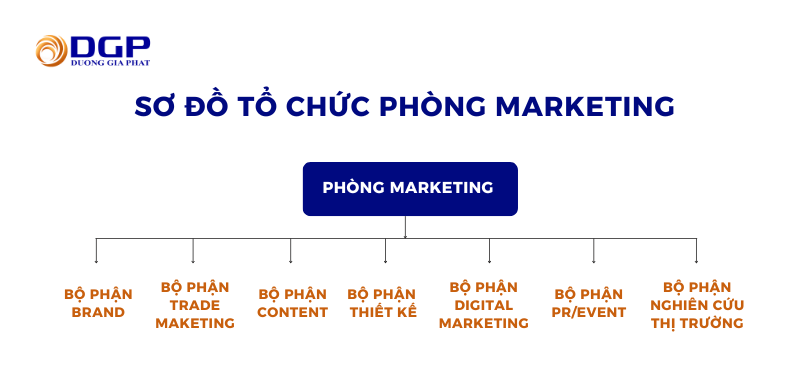 Sơ đồ tổ chức của phòng marketing