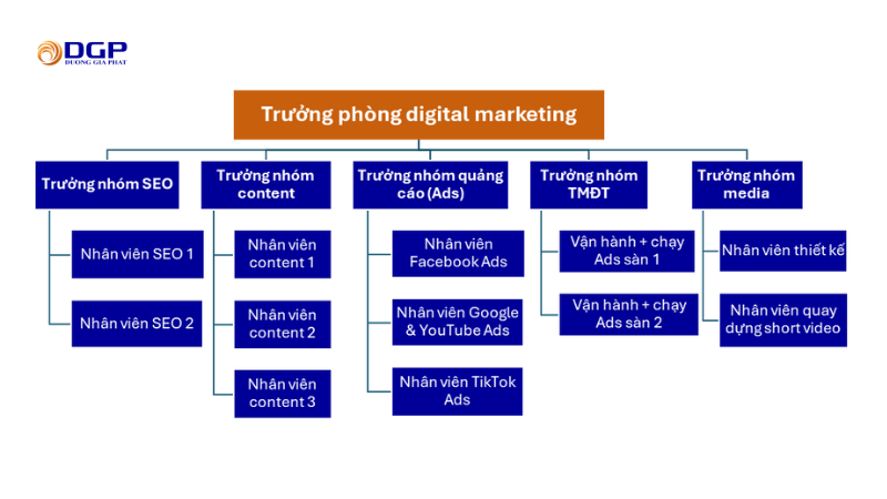 Phòng digital marketing trên 10 người