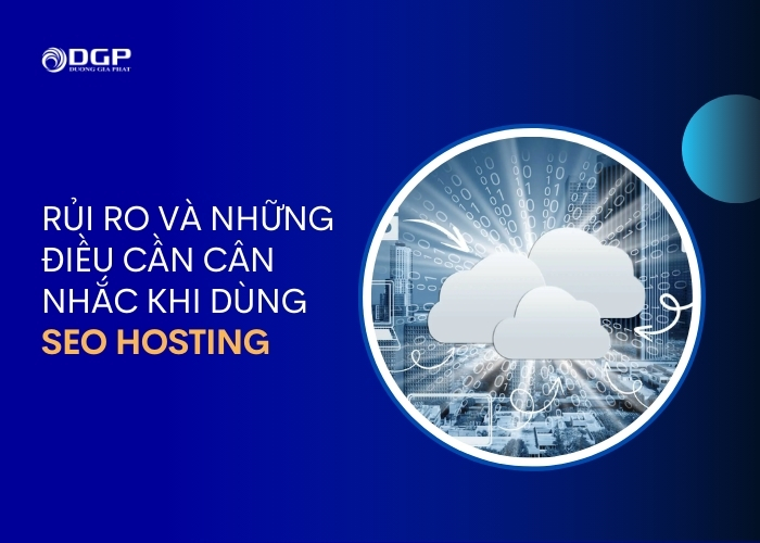 Rủi ro và những điều cần cân nhắc khi dùng SEO Hosting