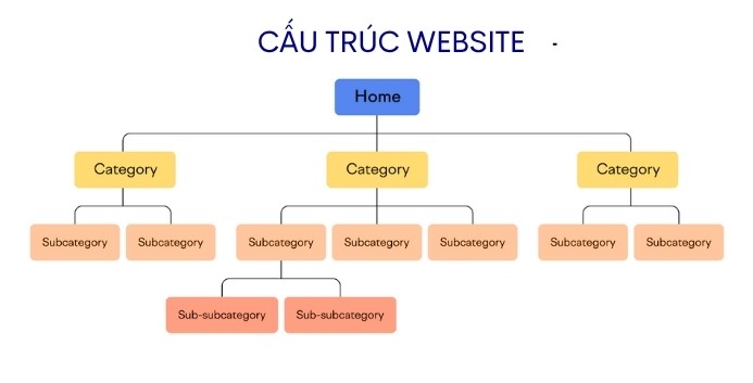 Cấu trúc website